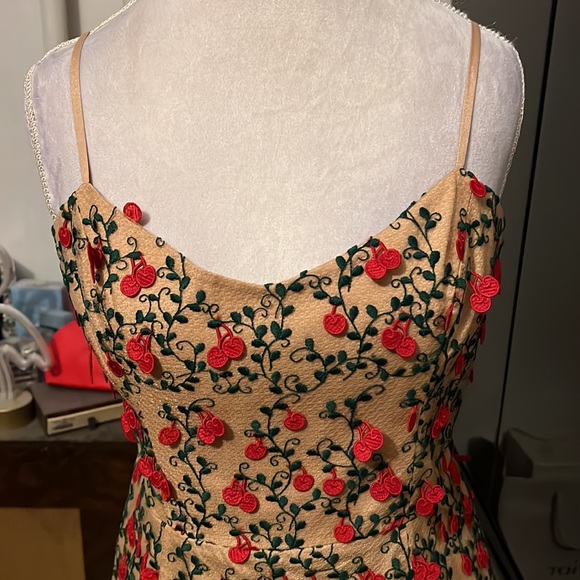 Dress the population 3D Cherry dress size L.  Dress is like a tan w/ green & red - Picture 8 of 10